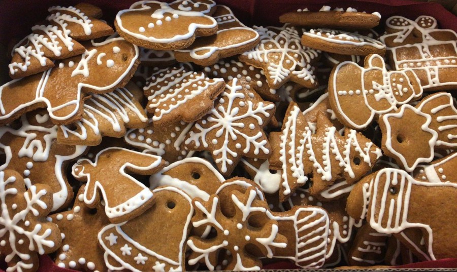 Judo Academy přeje veselé Vánoce a šťastný nový rok